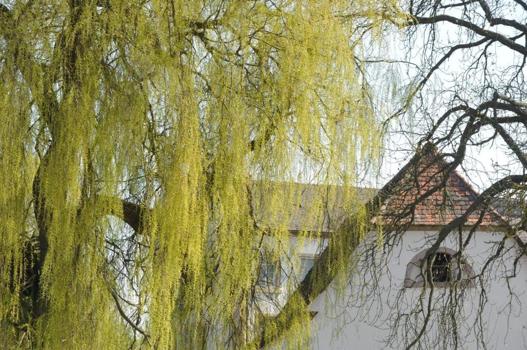 Zeiskamer Mühle Exterior foto